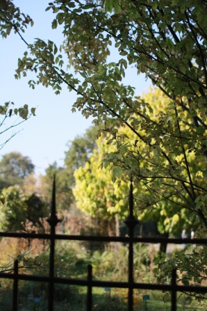 jardin plantes