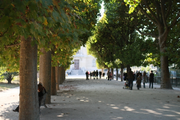 jardin plantes