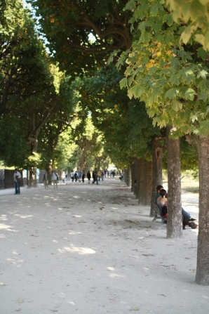 jardin plantes