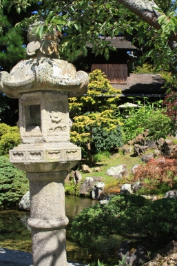 japanese garden