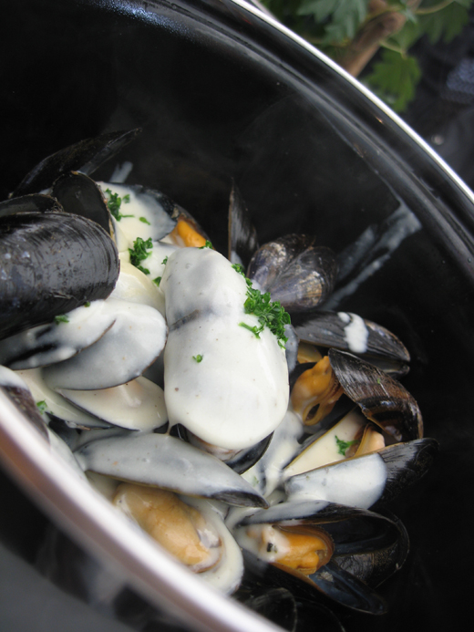 moules sauce normande