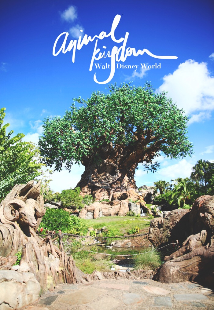 Walt Disney World Animal Kingdom | Le monde de Tokyobanhbao: Blog Mode  gourmand