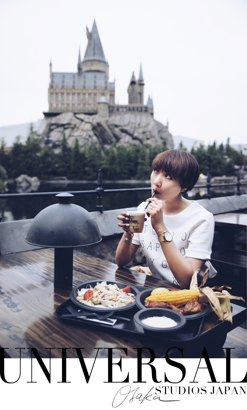 THE WIZARDING WORLD OF HARRY POTTER™, Universal Studios Japan